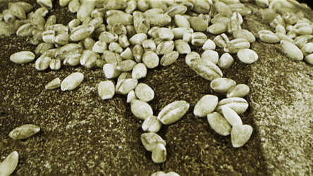 Similar image 22331361