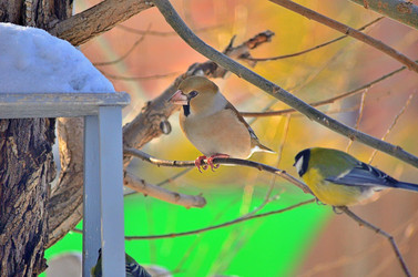 Similar image 22323516