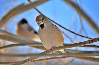 Similar image 22323517