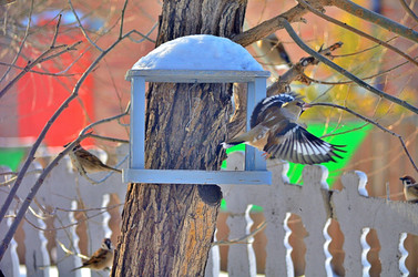 Similar image 22323519