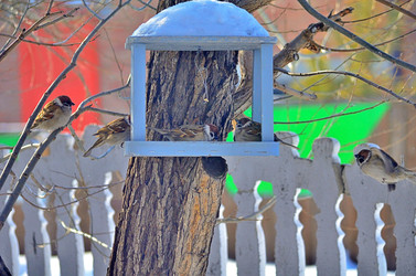 Similar image 22323520