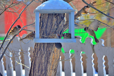 Similar image 22323521