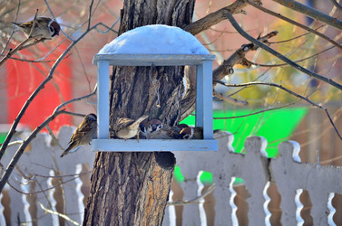 Similar image 22323522