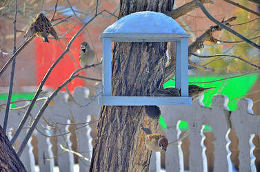 Similar image 22323523