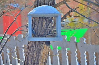 Similar image 22323524