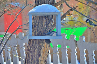 Similar image 22323525