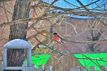 Similar image 22323526