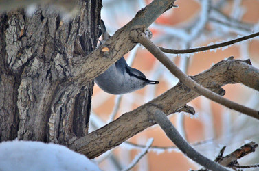 Similar image 22323527