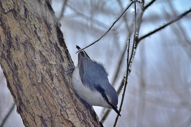 Similar image 22323528