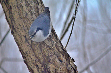 Similar image 22323529