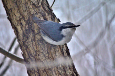 Similar image 22323530