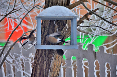 Similar image 22323531