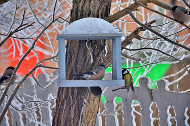 Similar image 22323532