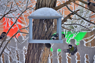 Similar image 22323533