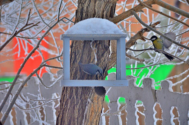 Similar image 22323535