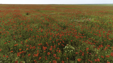 Similar image 22329818