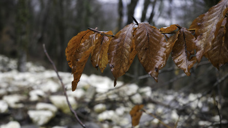 Similar image 22329819