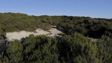 Similar image 22329820