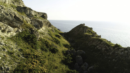 Similar image 22330228