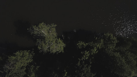 Similar image 22330230