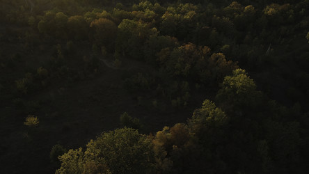 Similar image 22330692