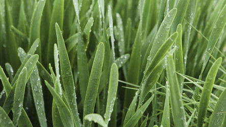 Similar image 22330701