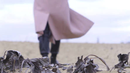 Similar image 22331122