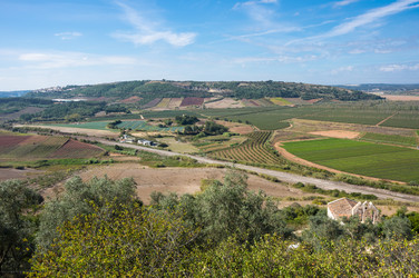 Similar image 22323791