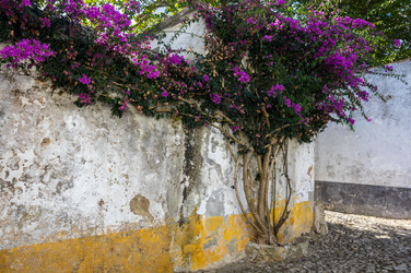 Similar image 22323795