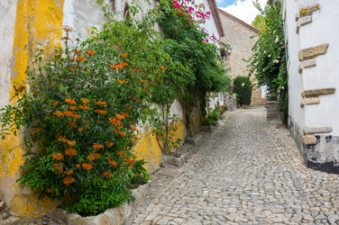 Similar image 22323796