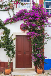 Similar image 22323798