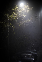 Similar image 22321084