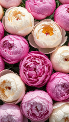 Similar image 22323537