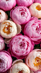 Similar image 22323538