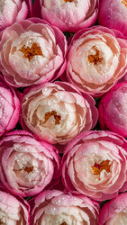 Similar image 22323539