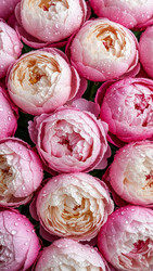 Similar image 22331826