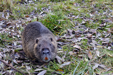 Similar image 22321046