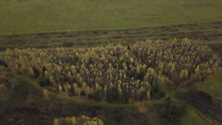 Similar image 22325847