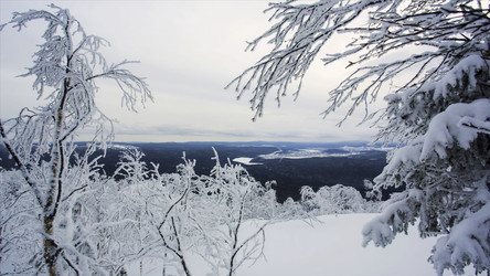 Similar image 22325852