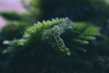 Similar image 22323556