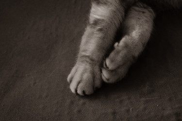 Similar image 22323557