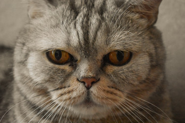 Similar image 22323558