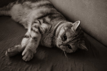 Similar image 22323559