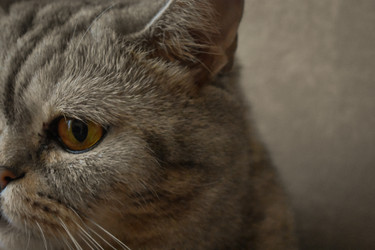 Similar image 22323560