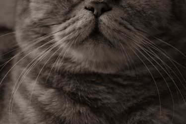 Similar image 22323561