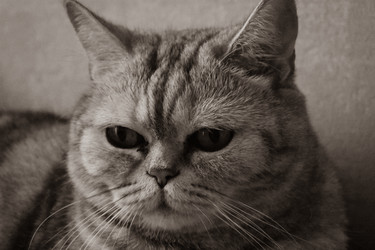 Similar image 22323562