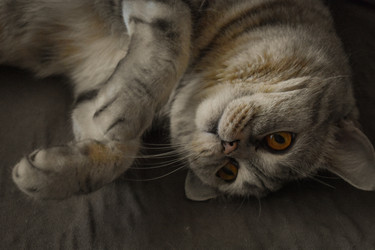 Similar image 22323563