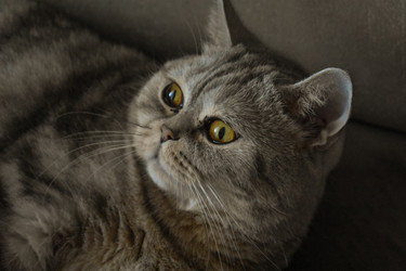 Similar image 22323565