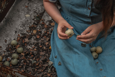 Similar image 22323566