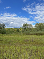 Similar image 22333168